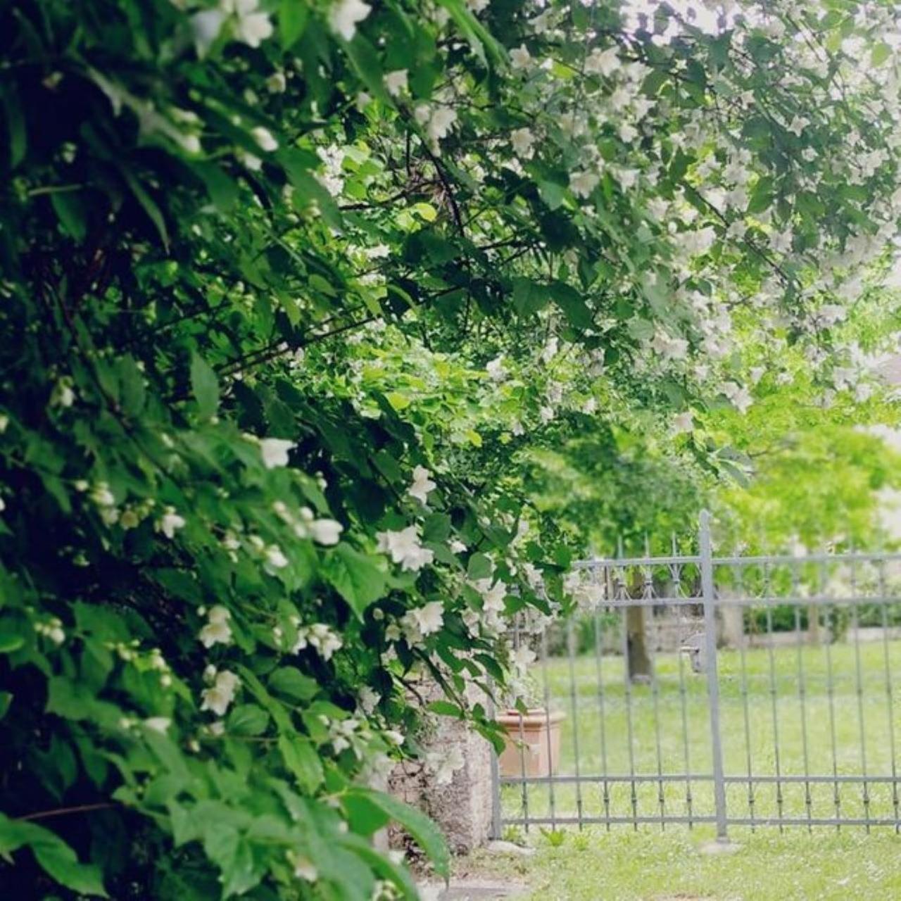 B&B Ernestine Family Home Caneva Kültér fotó